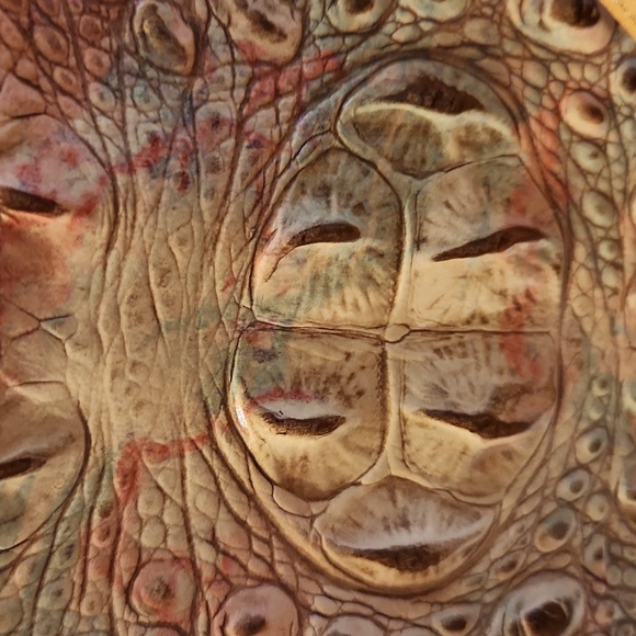 Brahmin, NWT, Women's Handbag, Cover included, Genuine Leather - Picture 7 of 14